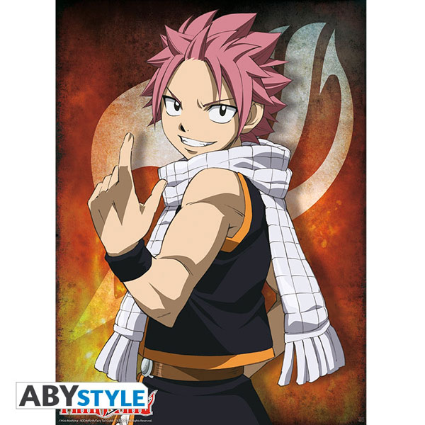 Fairy Tail Guild Poster (38x52), Fairy Tail