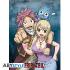 FAIRY TAIL POSTER FAIRY TAIL LUCY, NATSU ET HAPPY 52 X 38 CM