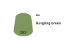 POT DE PEINTURE NURGLING GREEN (DRY)